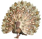 Jay Strongwater "Peacock Figurine"