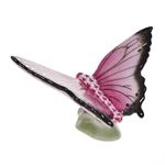 Herend - Butterfly - SVHP---15063-0-00- Raspberry