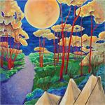 Taos Pow Wow by David von Braun